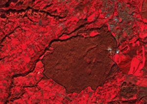 dendromap-2