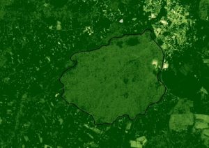 dendromap-3